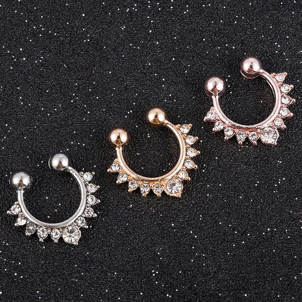 Metal Alloy Nose Rings