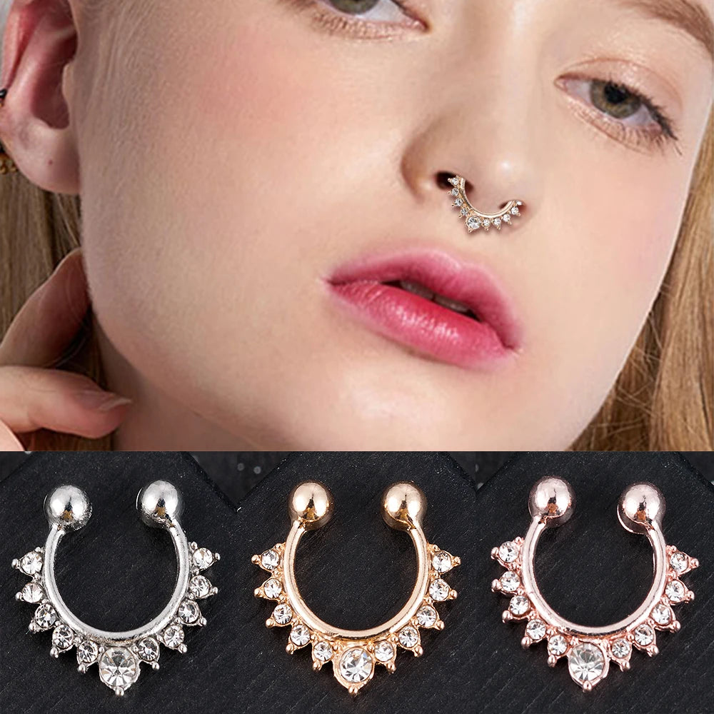 Metal Alloy Nose Rings