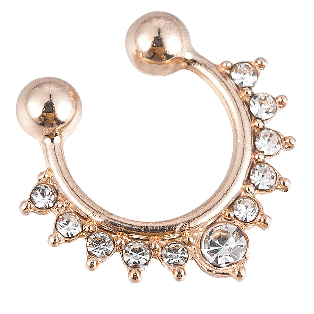 Metal Alloy Nose Rings