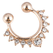 Metal Alloy Nose Rings