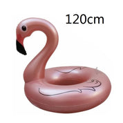 Inflatable Cherry Pool Float