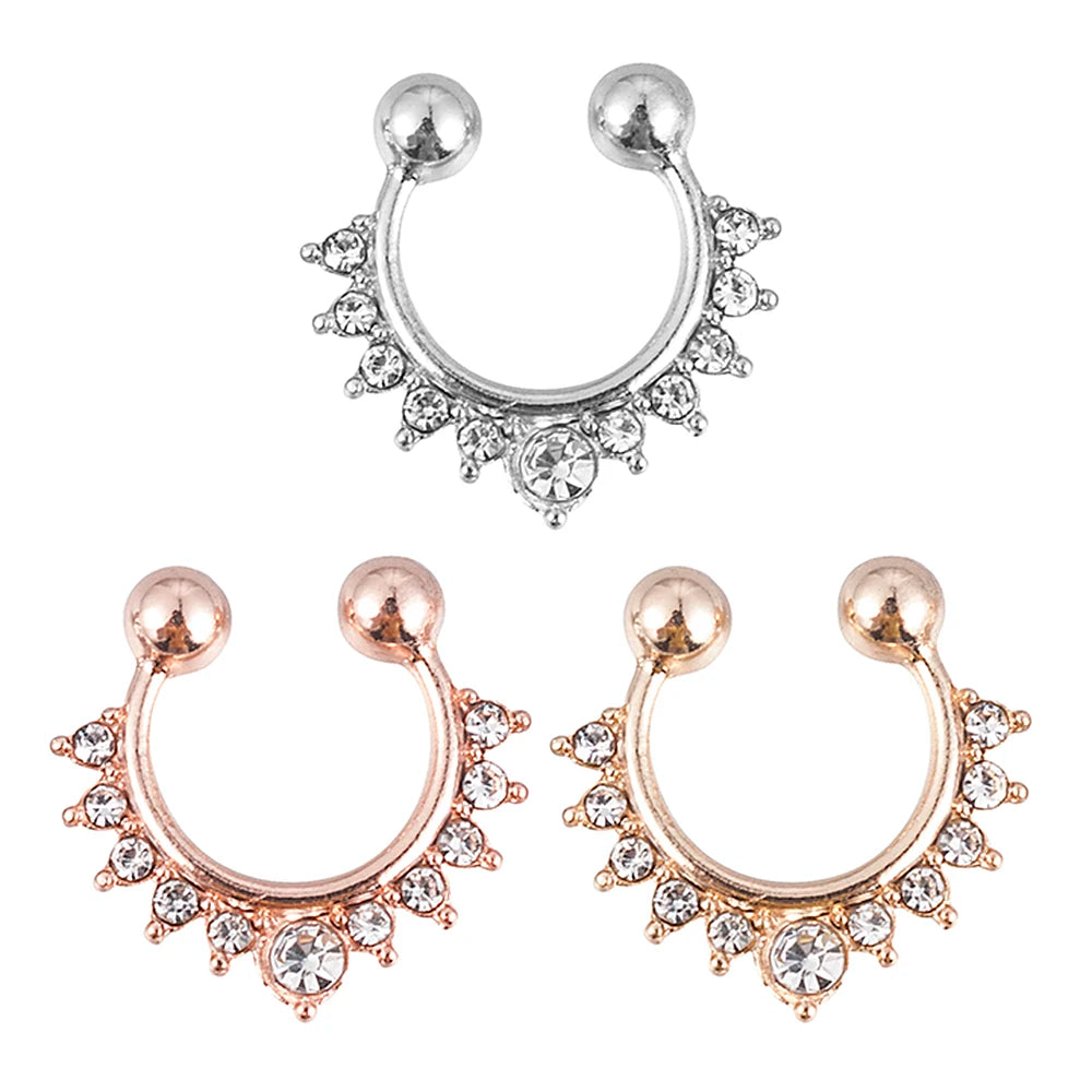 Metal Alloy Nose Rings