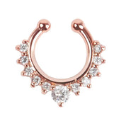 Metal Alloy Nose Rings