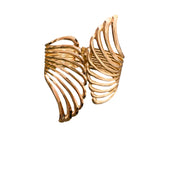 High-Quality Hollow Arm Cuff Bracelet
