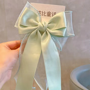 Elegant Lace Hair Clip