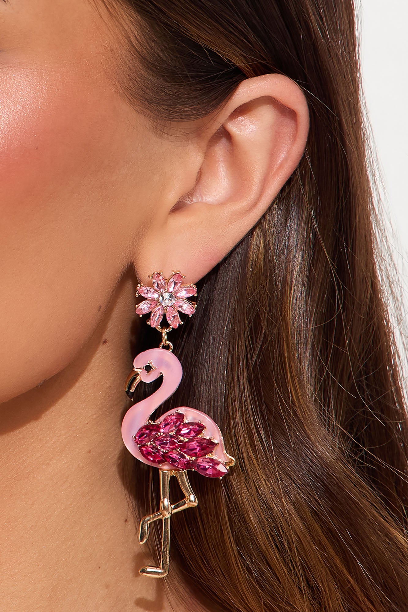 Flamingos Before Amigos Earrings - Pink/combo